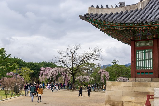 Seoul City Tour - Free Photo Service - Tour Highlights and Features