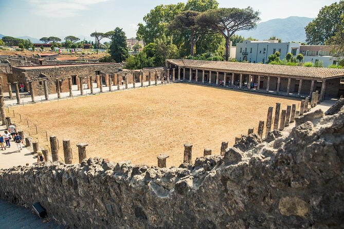 Skip the Line Pompeii & Mount Vesuvius Guided Tour From Positano - Educational Pompeii & Vesuvius Exploration