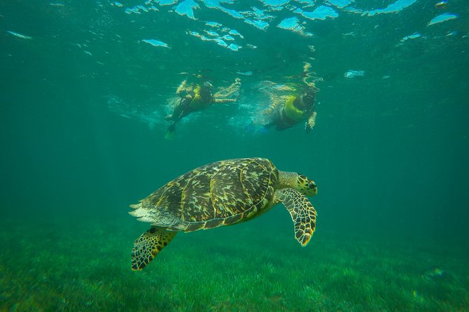 Snorkel and Parasail Cancun - Safety Guidelines and Recommendations