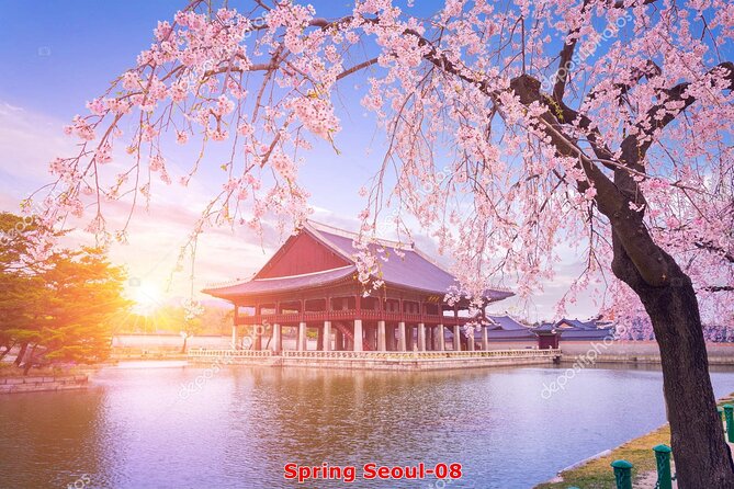 The Beauty of the Korea Cherry Blossom Discover 11days 10nights - Booking and Confirmation Process