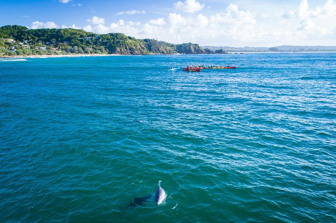 The Byron Bay Sea Kayak Tour - Reviews and Ratings Overview