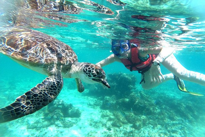 Tulum Ruins, Turtles in Akumal and Cenote Tour - Cenote Exploration and Snorkeling Experience