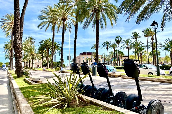 VIP Private Segway Tour of Palma - Final Words