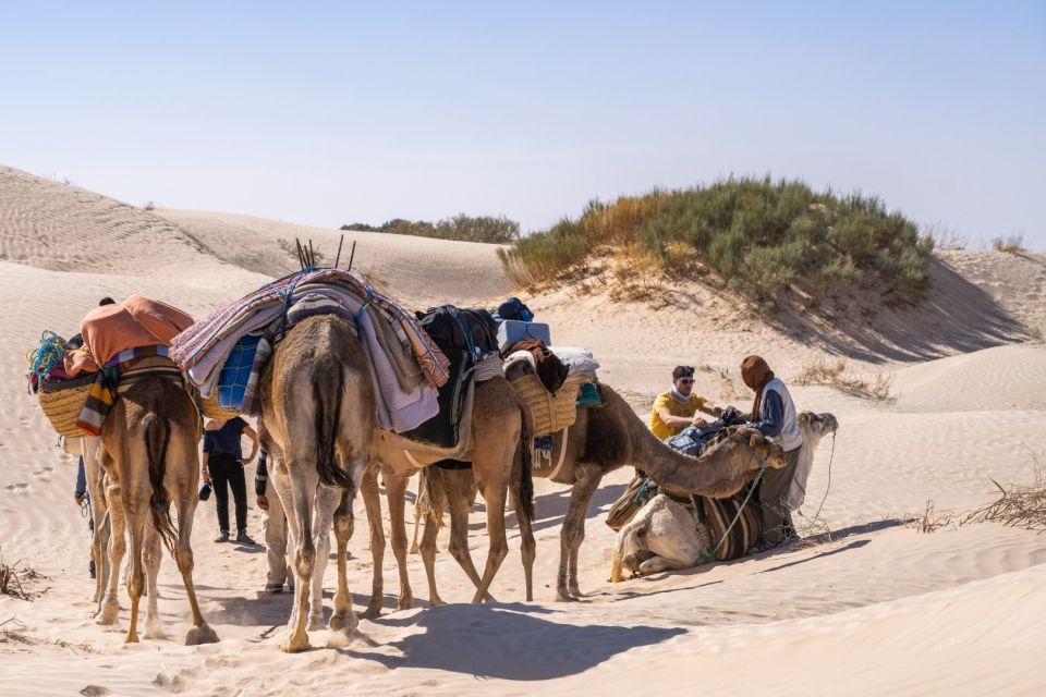 Wonders of Tunisia - 8 Day Tour - Itinerary Highlights