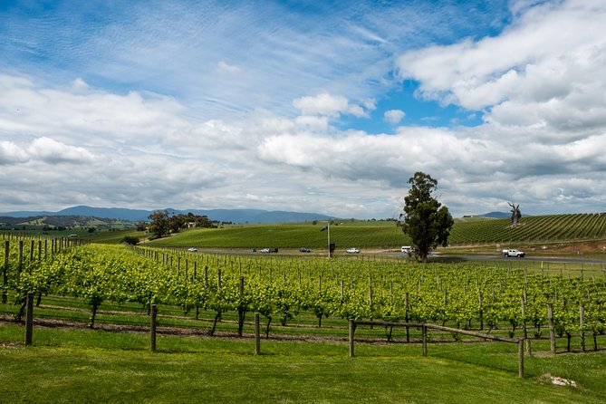 Yarra Valley Wine and Winery Tour From Melbourne - Reviews From Past Travelers