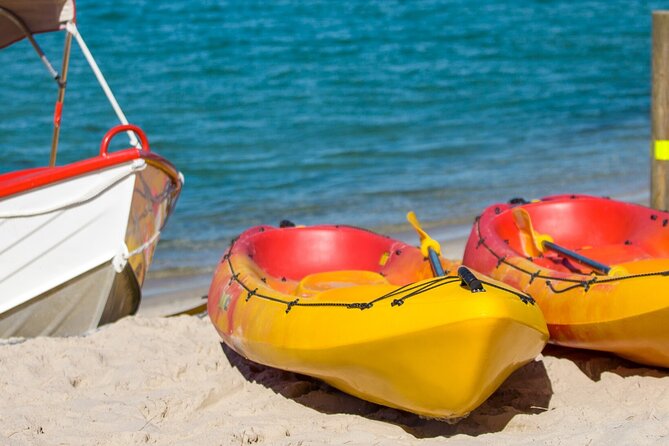 1 Hour Single or Double Kayak Rental to the Nth Bribie Island - Tips for a Smooth Experience