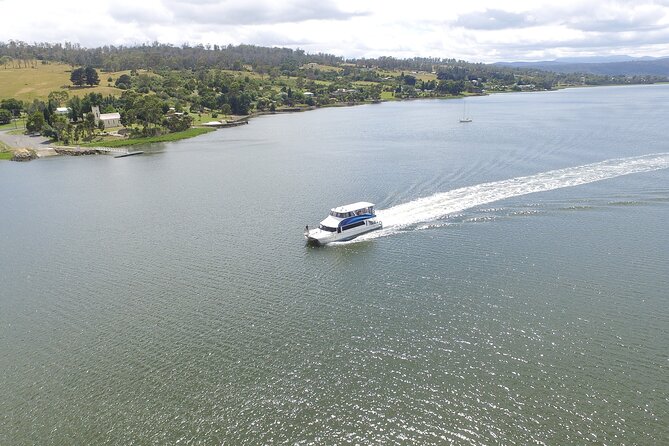 2.50 Hour Afternoon Discovery Cruise Including Cataract Gorge Departing at 3 Pm - Booking and Reservations