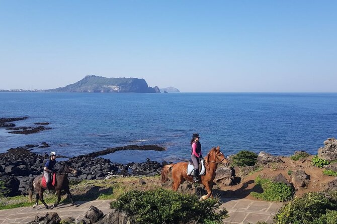 2-Day Tour to Jeju Island by Limousine Taxi - Booking and Payment Process