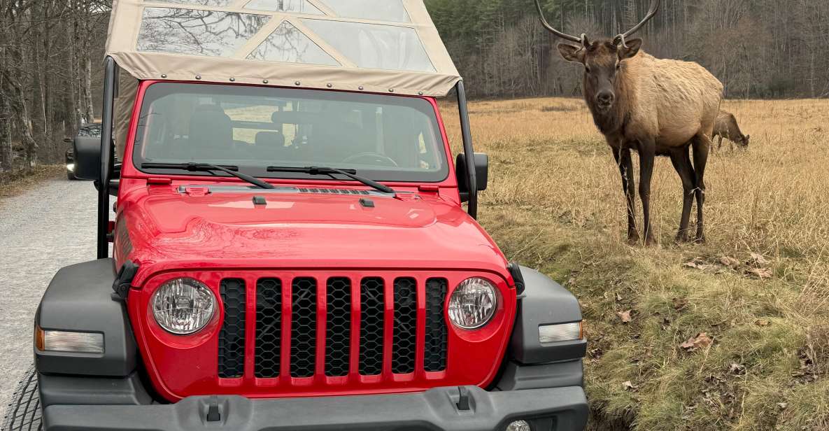 4 HR. Guided Safari Jeep Eco, ELK Wilderness Adventure - Final Words