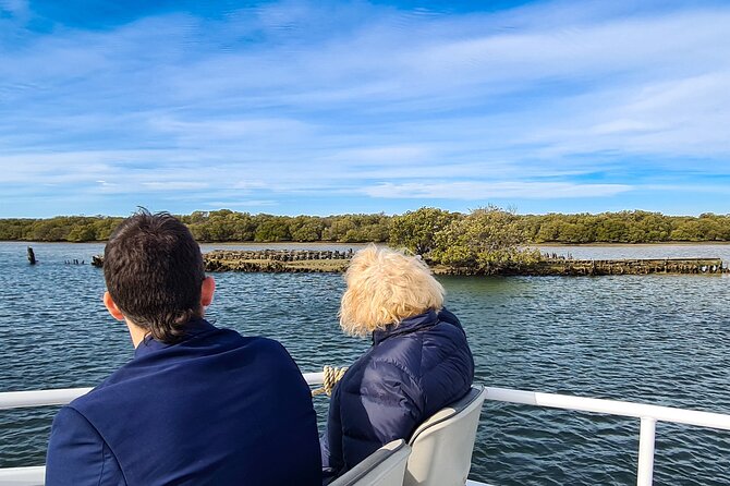 90 Minute Port River Dolphin & Ships Graveyard Cruise - Insider Tips and Insights