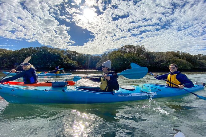 Adelaide Dolphin Sanctuary and Ships Graveyard Kayak Tour - What Past Guests Have Said