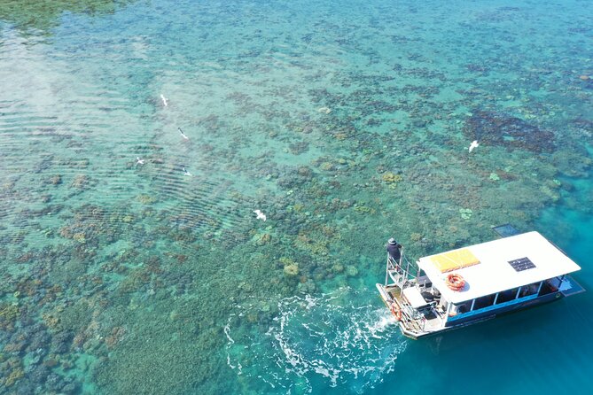Airlie Beach Glass Bottom Boat Tour - The Marine Ecosystem Experience
