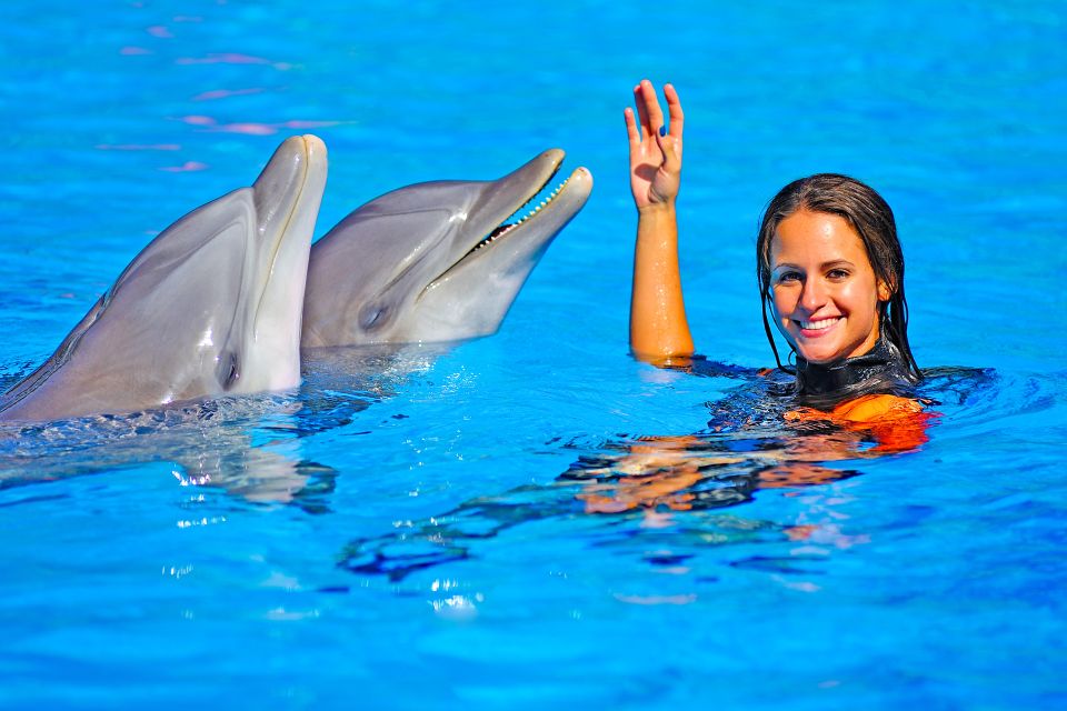 Algarve Zoomarine Ticket and Dolphin Emotions Experience - Customer Reviews and Traveler Types