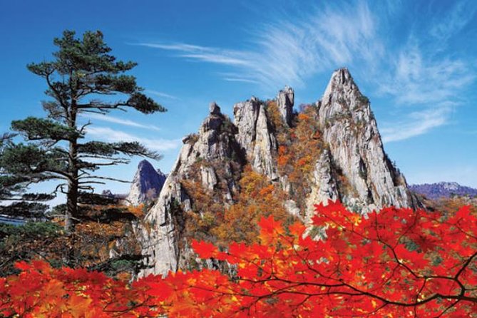 Autumn 8 Days South Korea Tour Including Jeonju,Damyang,Mt.Naejangsan - Booking and Pickup Details