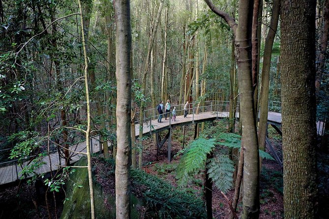 Blue Mountains Small-Group Tour From Sydney With Scenic World,Sydney Zoo & Ferry - What to Expect and Essentials