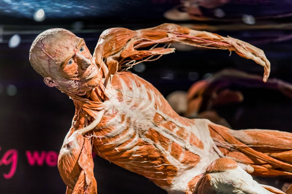 Body Worlds Amsterdam: The Happiness Project Ticket - Common questions