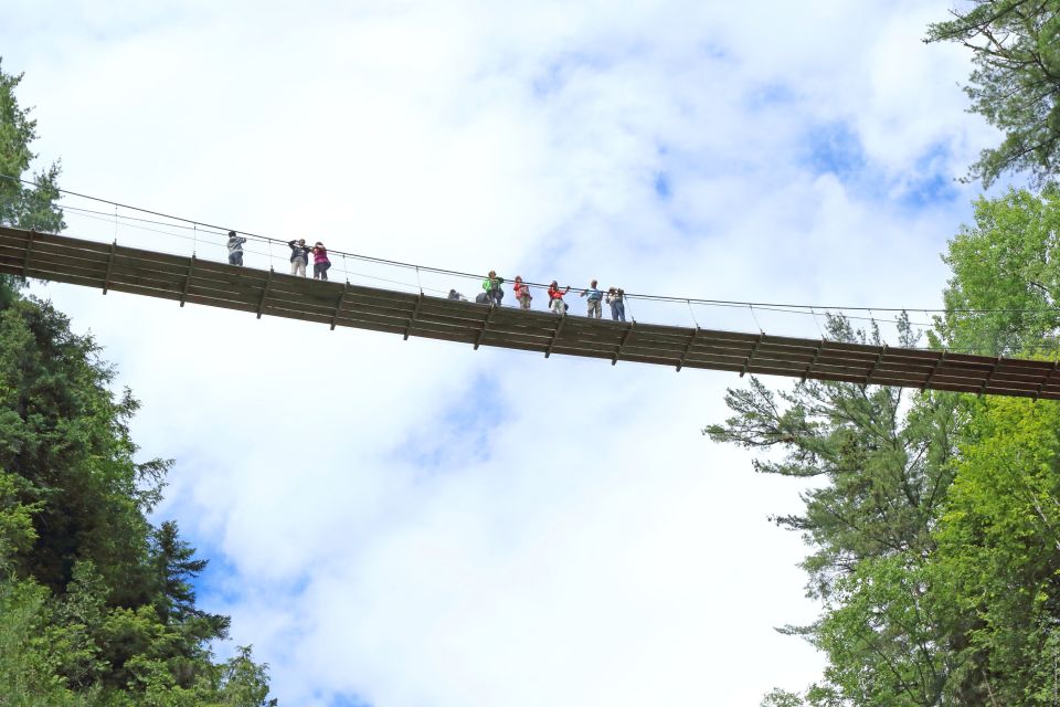 Canyon Sainte-Anne: Park Admission Ticket - Reviews and Traveler Insights