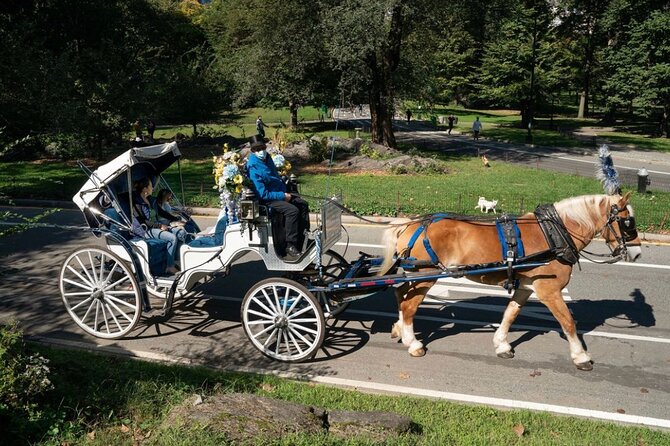 Central Park and NYC Horse Carriage Ride OFFICIAL ( ELITE Private) Since 1970 - Final Words