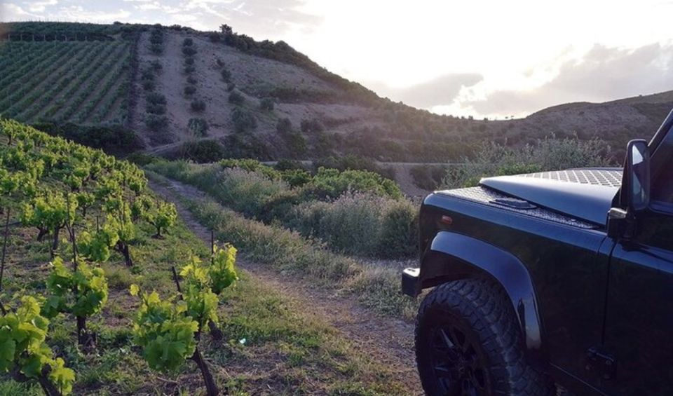 Chania Luxury Jeep Safaris: Wine & Olive Oil Tasting Secrets - Booking Information