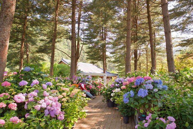 Day Trip to Nami Island With Rail Bike and the Garden of Morning Calm - Essential Tour Details