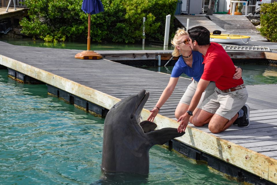 Florida Keys: Dockside Dolphin Experience - Common questions