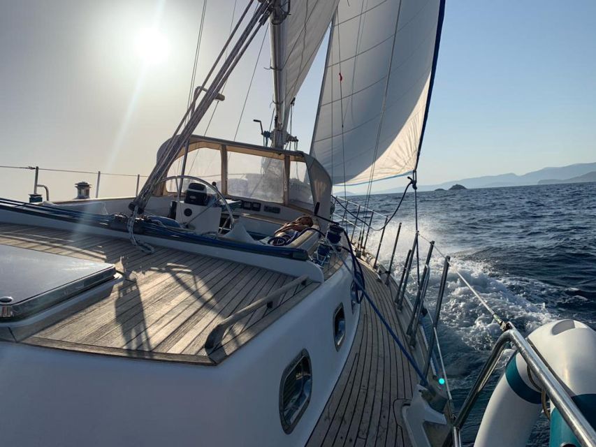 French Riviera Exclusive Cruise on a Luxury Sailing Yacht - Testimonials