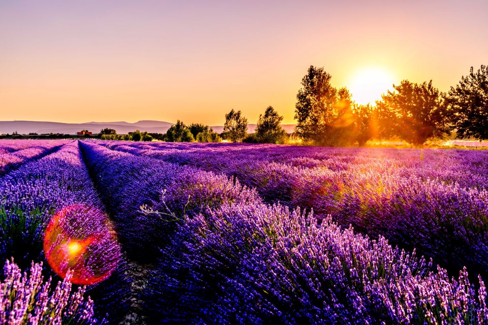 From Avignon: Lavender Fields & Luberon Village Guided Tour - Directions & Recommendations