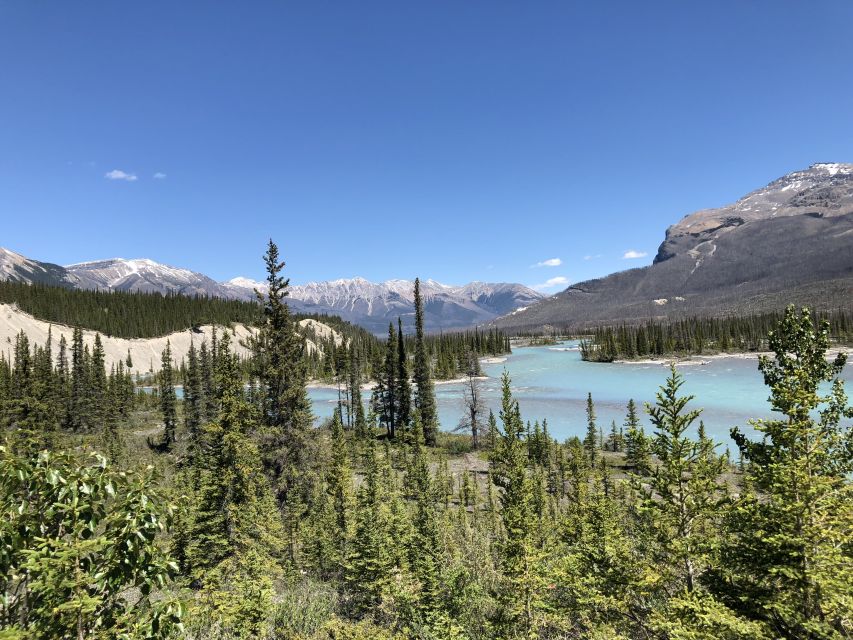 From Banff: Icefield Parkway Scenic Tour With Park Entry - Highlights