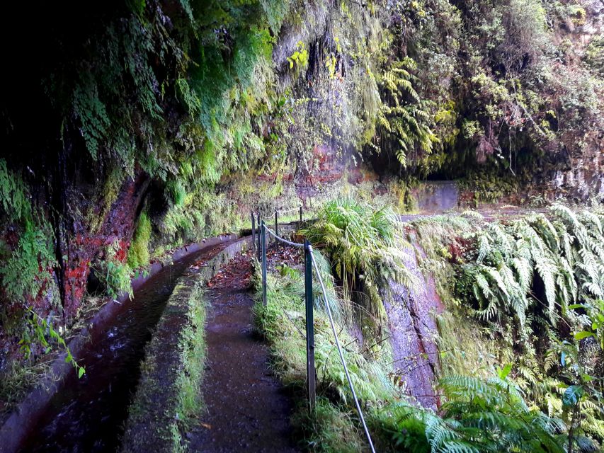 From Funchal: São Jorge Valleys Levada Walk - Common questions