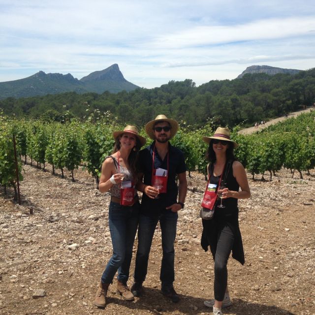 From Montpellier: Pic Saint-Loup Wine and Food Tour - Common questions