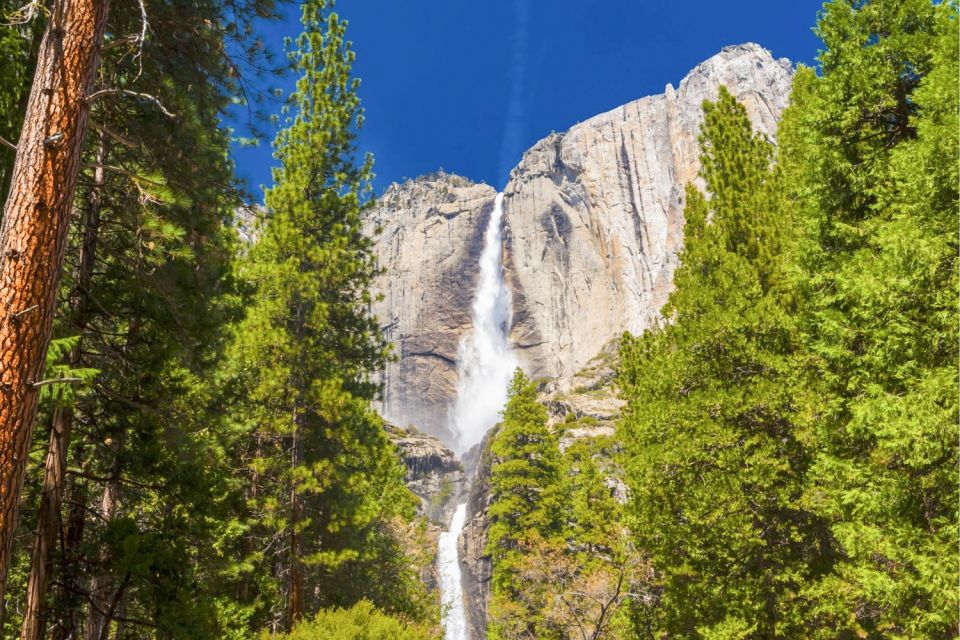 From San Francisco: Yosemite & Tahoe Sierras 4-Day Trip - Final Words