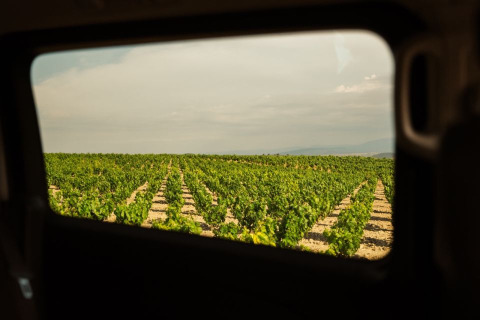 From San Sebastian: Rioja Uncorked - Private Wineries Trip - Final Words