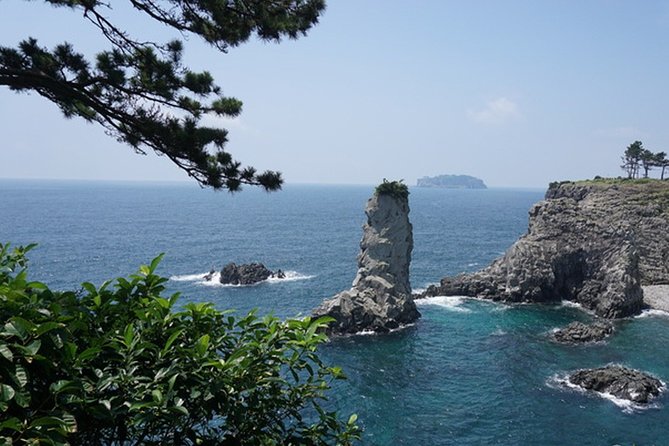 Full-Day Customizable Private Essential Jeju Island Tour for South Course - Tour Logistics and Requirements