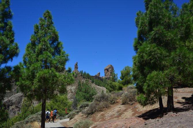 Full Day to Bandama Volcano, Center and High Peaks of Gran Canaria & Roque Nublo - Overall Rating and Reviews