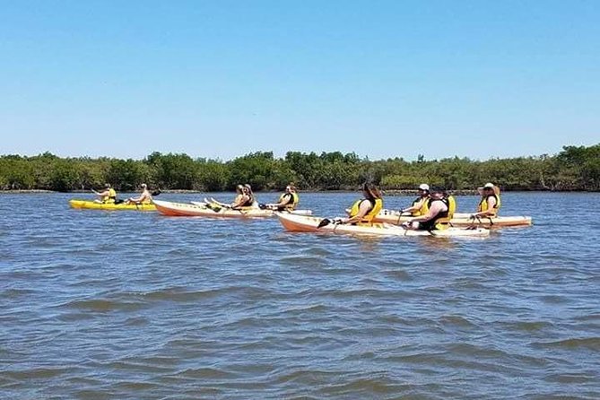 Guided Wildlife Eco Kayak Tour in New Smyrna Beach - Common questions
