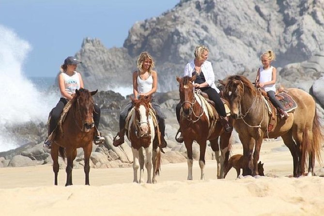 Horseback Riding on The Beach and Through The Desert! - Additional Information
