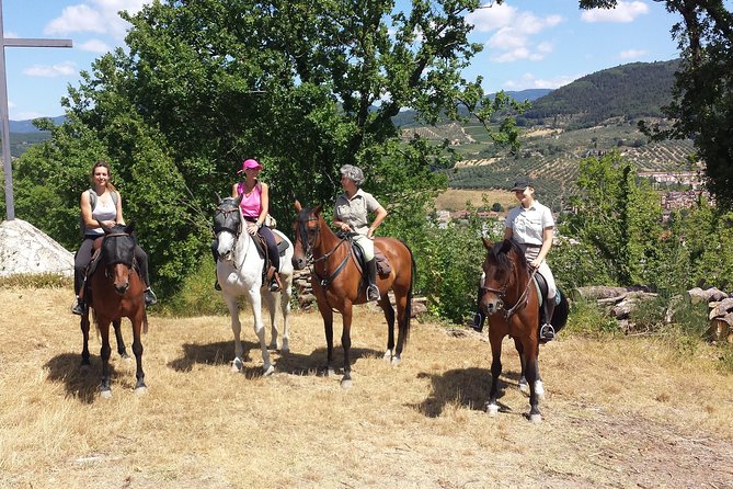 Horseback Riding & Wine Tasting With Lunch at a Historic Estate - Common questions