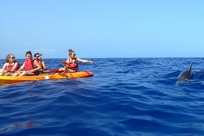 Kayaking With Dolphins and Turtles and Snorkelling in Tenerife - Directions to Meeting Point