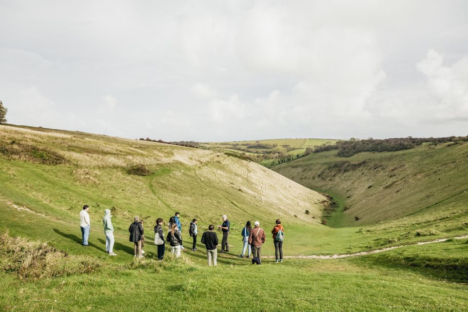 London: Set out on a Guided Tour of South Downs White Cliffs - Final Words
