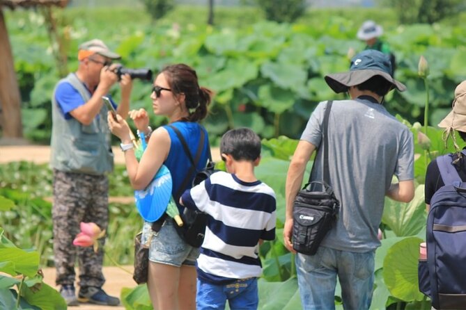 Lotus Flowers and Sunflower Field Tour From Busan - Booking and Confirmation Details