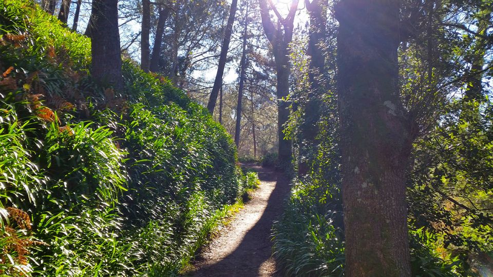 Madeira: Paradise Valley Levada Walk - Directions