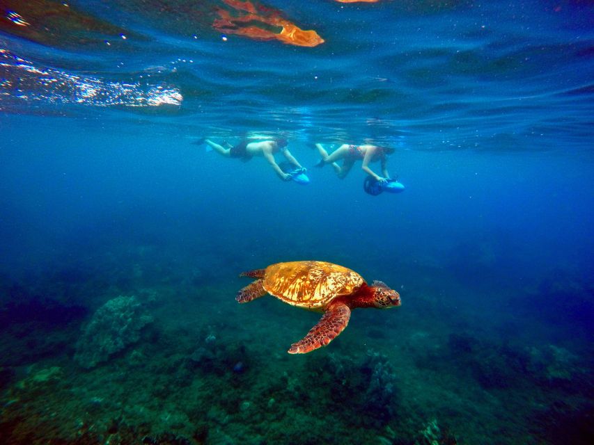 Maui: Guided Sea Scooter Snorkeling Tour - Final Words