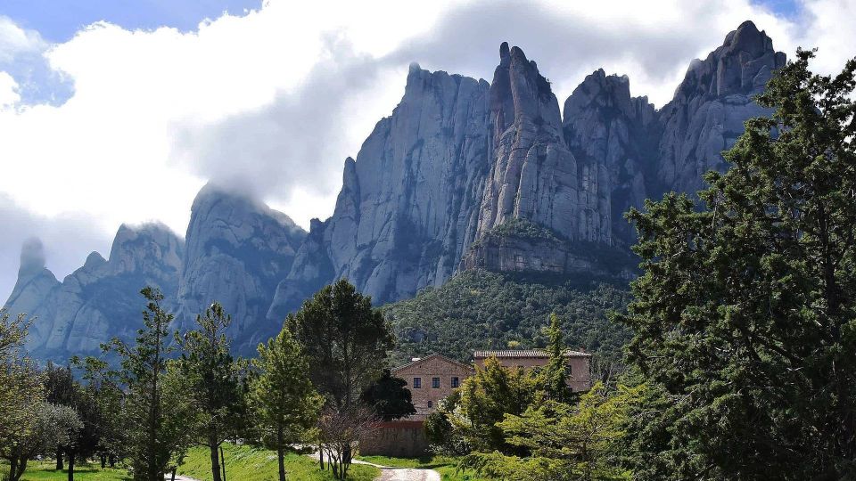 Montserrat & Cava Wineries Day Trip From Barcelona W/ Pickup - Customer Reviews and Ratings