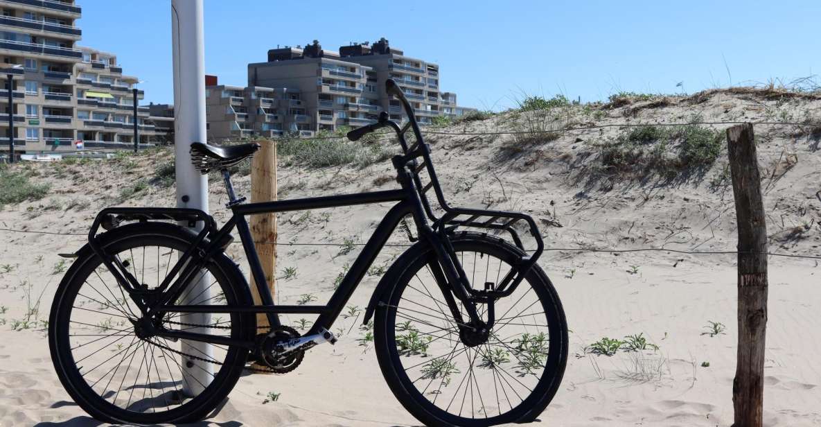 Noordwijk: Beach and Dunes Bike Tour - Common questions