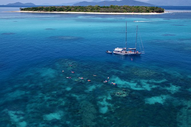 Ocean Free Green Island and Great Barrier Reef Snorkel Cruise - Reviews and Ratings Overview