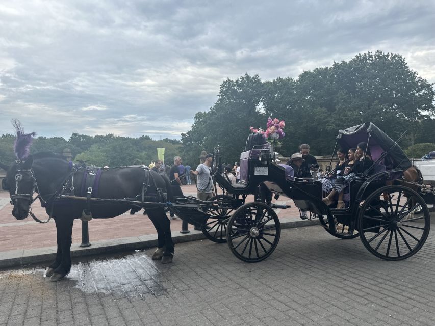 Official Exclusive VIP Horse Carriage Ride in Central Park - Common questions