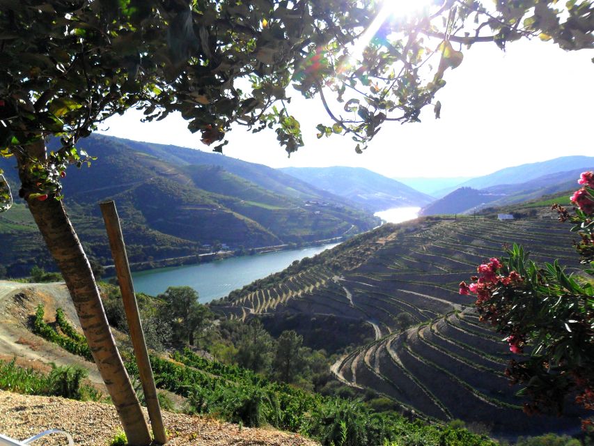 Porto: Authentic Private Douro Valley Tour - Common questions