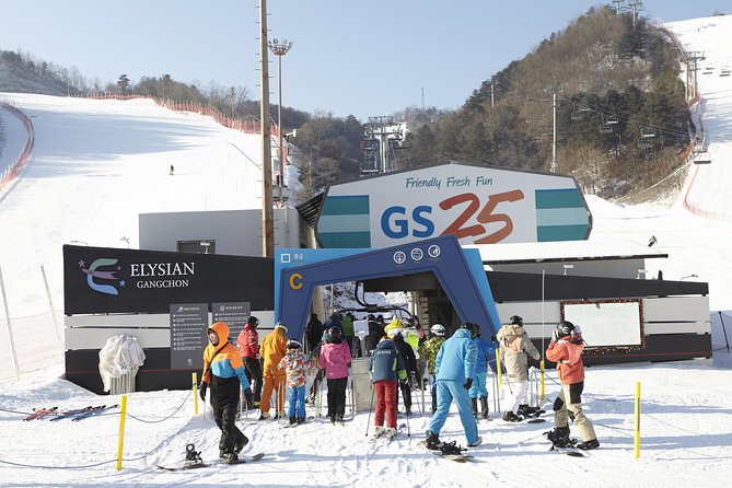 Private 1:1 Ski Lesson Near Seoul, South Korea - Experience Details and Inclusions