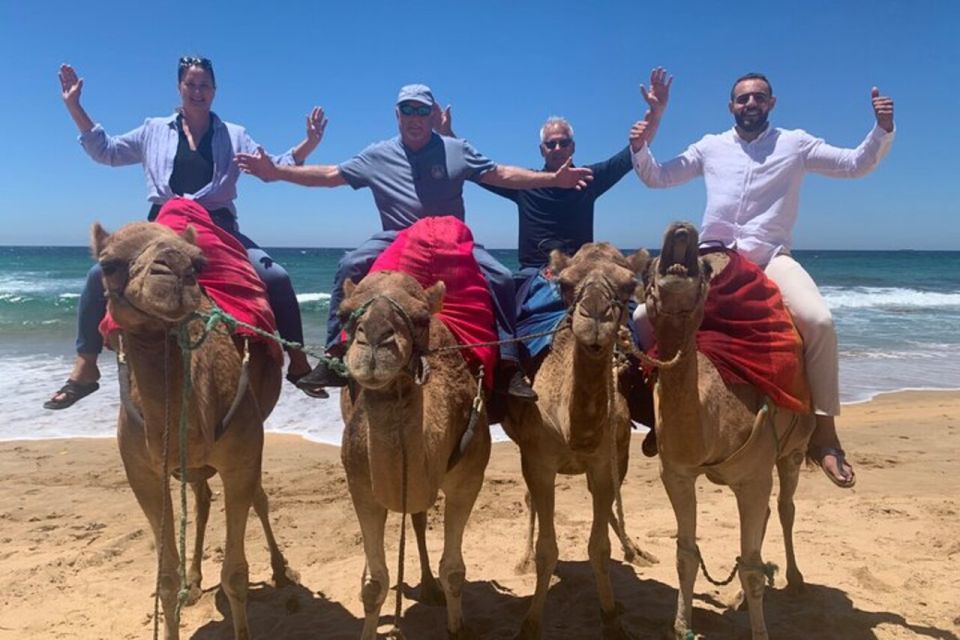 Private Tangier Tour From Seville Including Camel & Lunch - Final Words