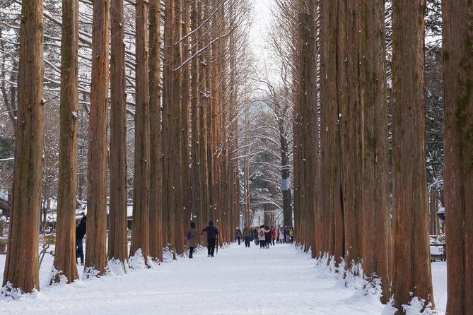 [Private Tour] Nami Island & Ski (Ski Lesson, Equip & Clothing Included) - Booking and Pickup Details
